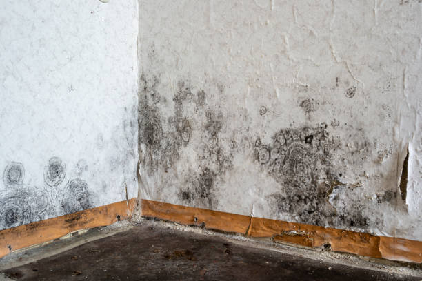 24/7 water damage repair in Doe Valley, KY